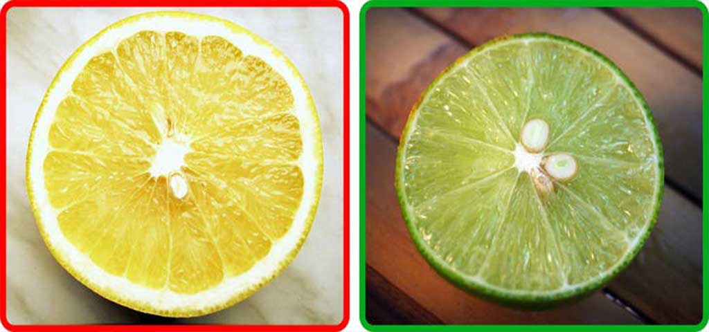 Conserver les citrons