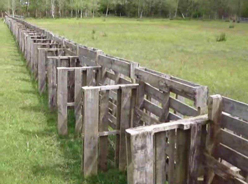 Une clôture en palettes bien solide pour un élevage de porcs et de chèvres