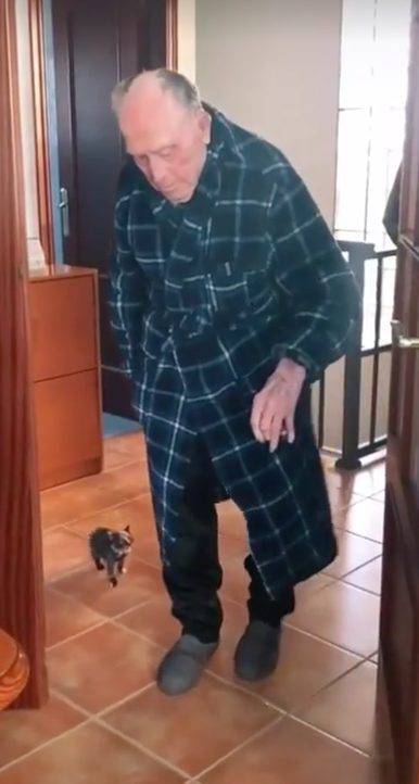 « Un cadeau qui lui a donné une seconde vie » : l’homme de 100 ans a fondu en larmes à la vue du chaton