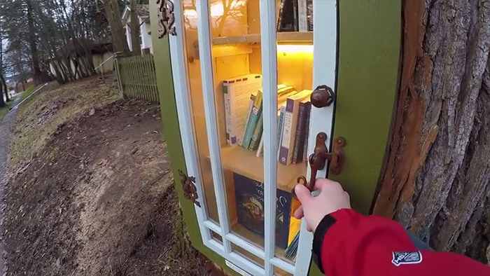 Cette femme a fait une toute petite bibliothèque à partir d'un arbre sec de 110 ans