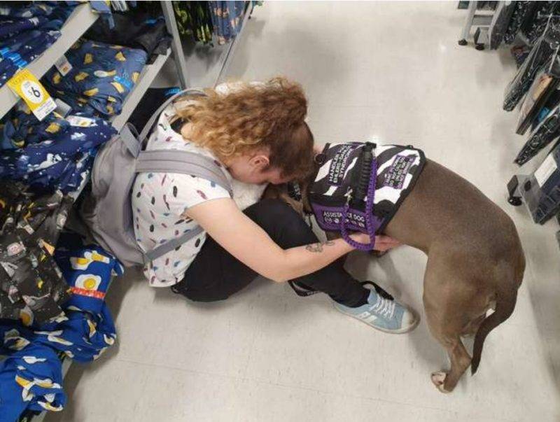 Un chien fidèle refuse de quitter sa mère après lui avoir sauvé la vie.