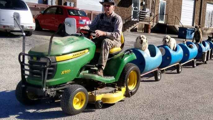 Ce retraité a fabriqué un train pour chiens et les conduit en troupeau dans les rues de la ville