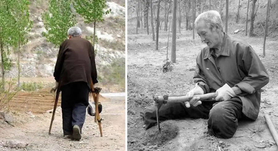 À 72 ans, ce monsieur sans jambes a déjà planté plus de 17 000 arbres et sauvé une forêt entière !