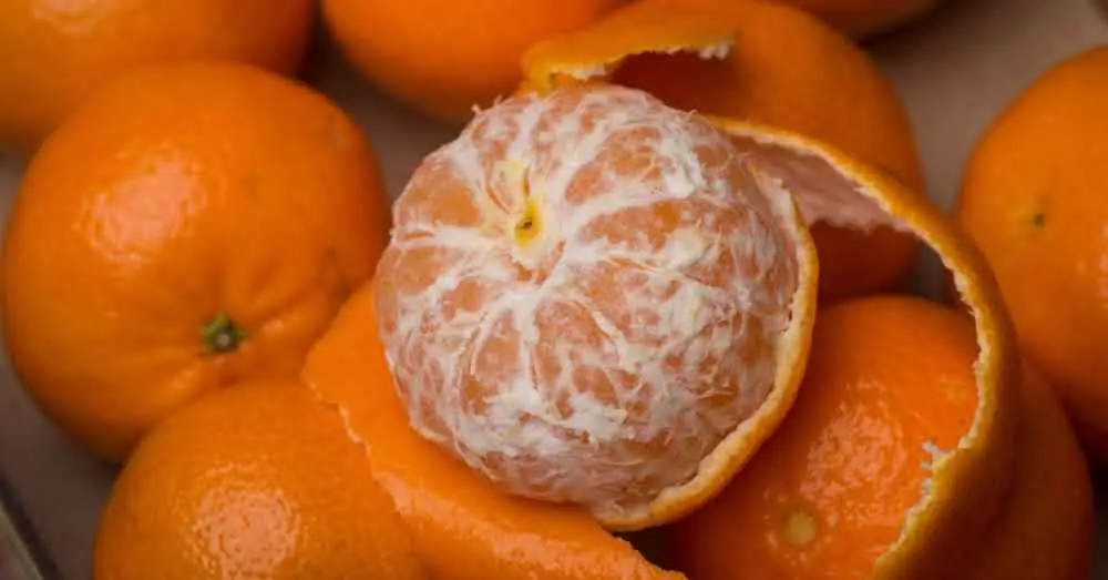La Magie des Pelures d'Orange dans une Bouteille : Astuce d'Économie Inattendue !