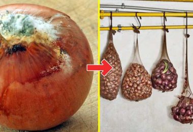 Conserver Longtemps Vos Fruits Et Légumes Avec Ces 12 Astuces