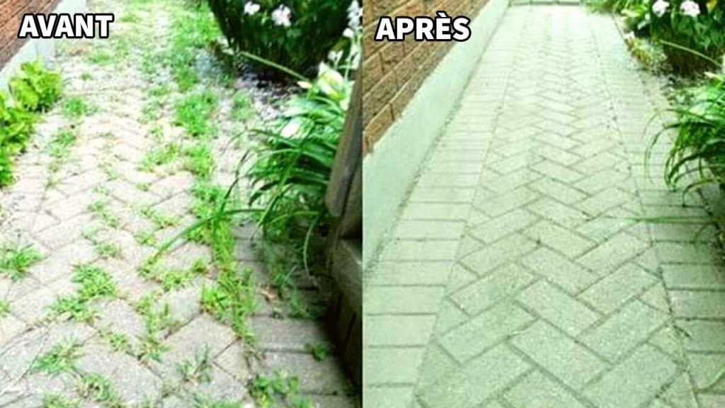 Débarrassez-vous des mauvaises herbes et empêcher qu’elles repoussent !!