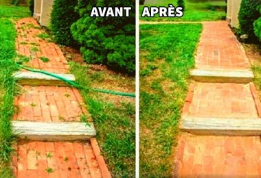 L'Astuce Rapide Pour Tuer les Mauvaises Herbes Avec du Vinaigre Blanc!!