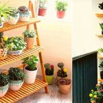 Plante d'intérieur (verte) pour la maison