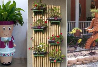 Superbes idées pour embellir votre jardin