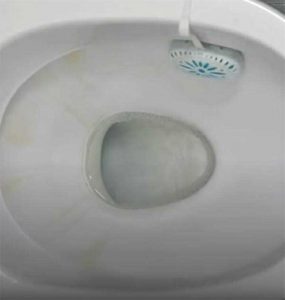 Comment utiliser l’ail pour nettoyer les toilettes