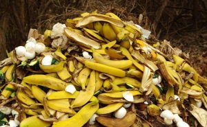 Ne jetez plus les peaux de banane : voici 8 astuces pour les réutiliser