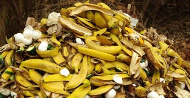 Ne jetez plus les peaux de banane : voici 8 astuces pour les réutiliser