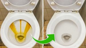 5 astuces pour nettoyer facilement votre salle de bains à l’aide du vinaigre blanc