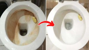 5 astuces pour nettoyer facilement votre salle de bains à l’aide du vinaigre blanc