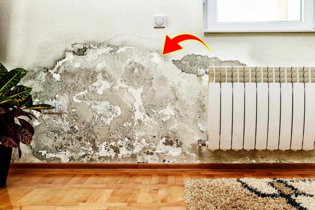 Réparer Un Mur Humide
