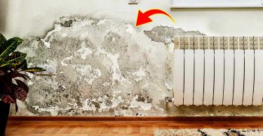 Comment réparer un mur affecté par l'humidité?