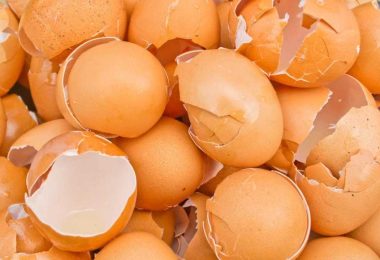 Les coquilles d’œufs : 7 utilisations ingénieuses à la maison