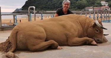 Un artiste de sable crée des sculptures d'animaux incroyablement réalistes incitant les gens à penser qu'ils sont réels