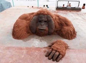Un artiste de sable crée des sculptures d'animaux incroyablement réalistes incitant les gens à penser qu'ils sont réels