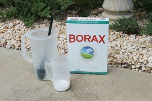 Le borax : 16 Utilisations que personne ne connaît