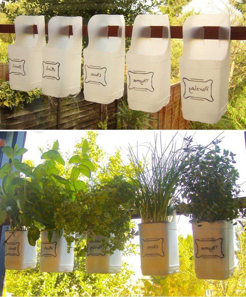 Plantes aromatiques en bouteilles plastiques - Cultiver à la maison