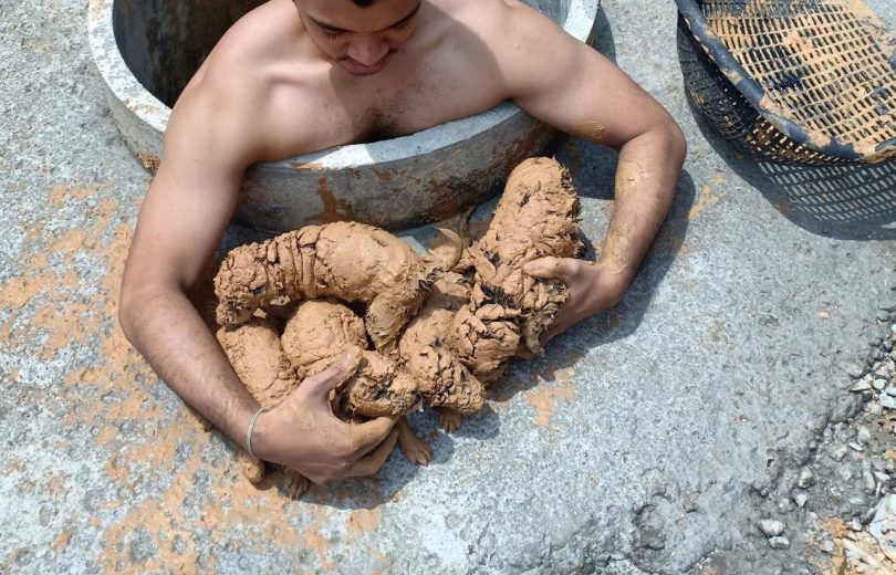 Un gentil jeune homme a sauvé cinq petits animaux de la boue épaisse, ne sachant pas qui ils étaient