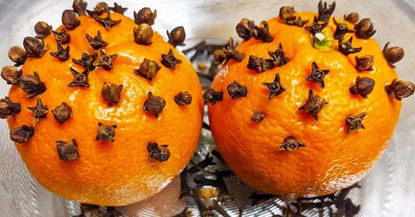 Voici pourquoi il faut mettre des clous de girofle sur une orange