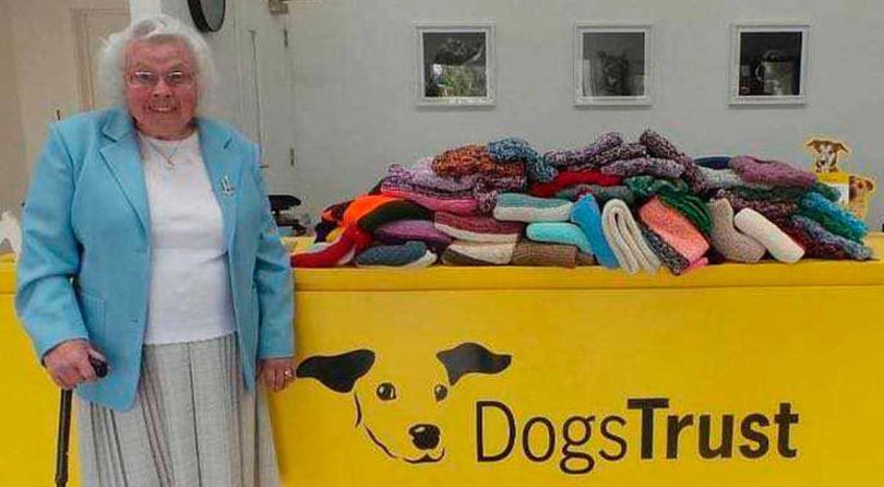 Une grand-mère de 89 ans a tricoté à la main 450 manteaux et couvertures pour chiens de refuge