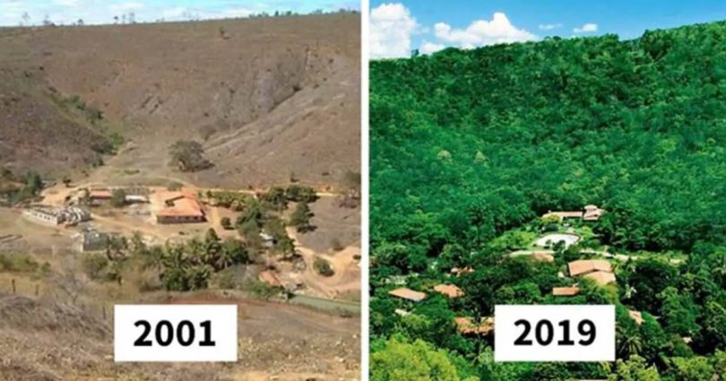 Brésil : Un couple a transformé une terre aride en une forêt luxuriante !