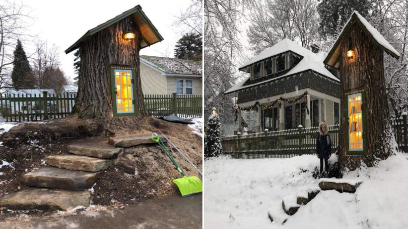 Cette femme a fait une toute petite bibliothèque à partir d'un arbre sec de 110 ans