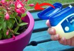 9 utilisations ingénieuses de la vaseline dans le jardin