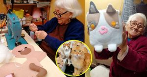 Une vieille femme fabrique des nounours en peluche afin de gagner de l'argent pour aider les chats