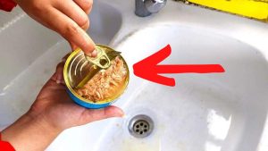 Voici pourquoi il faut arrêter de jeter de l'huile de boîte de thon dans l'évier.