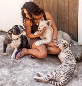 La propriétaire a fait rencontrer un tigre et un lion à son chien et ils sont vite devenus de vrais amis.