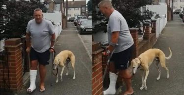 Après 400€ chez le vétérinaire, cet homme se rend compte que son chien ne faisait que l'imiter