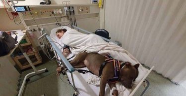 Un chien fidèle refuse de quitter sa mère après lui avoir sauvé la vie.