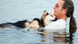 Un homme flotte quotidiennement avec un chien de 19 ans pour soulager la douleur