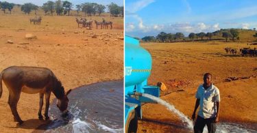 Un homme transporte chaque jour de l'eau pour les animaux assoiffés