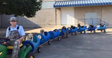 Ce retraité a fabriqué un train pour chiens et les conduit en troupeau dans les rues de la ville