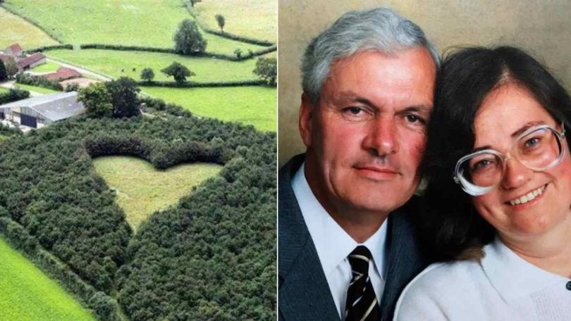 Cet homme plante des milliers d'arbres en secret en hommage à sa femme décédée, découvrez les images aériennes.