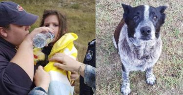 Un vieux chien sourd a gardé une petite fille perdue durant plus de 24 heures.