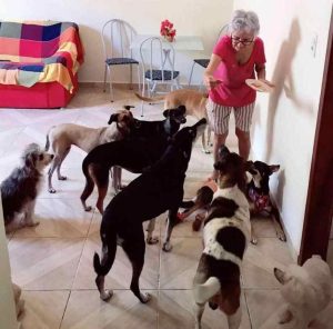 Cette mamie reçoit la plus belle fête pour son 89e anniversaire en compagnie de ses chiens.