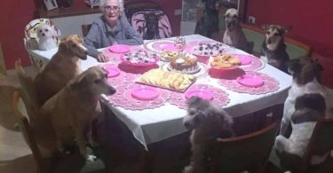 Cette mamie reçoit la plus belle fête pour son 89e anniversaire en compagnie de ses chiens.
