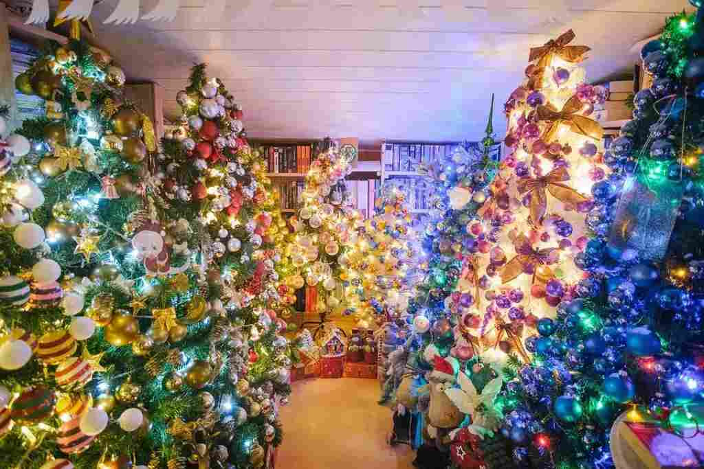 Un couple décore sa maison avec un record de 444 sapins de Noël