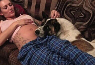 Le chien ne cessait de pleurer et d'aboyer sur sa mère enceinte : il lui a finalement sauvé la vie.