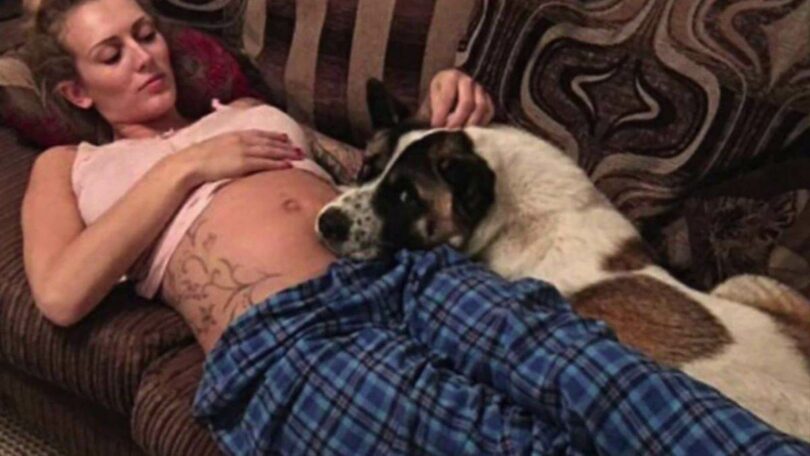 Le chien ne cessait de pleurer et d'aboyer sur sa mère enceinte : il lui a finalement sauvé la vie.