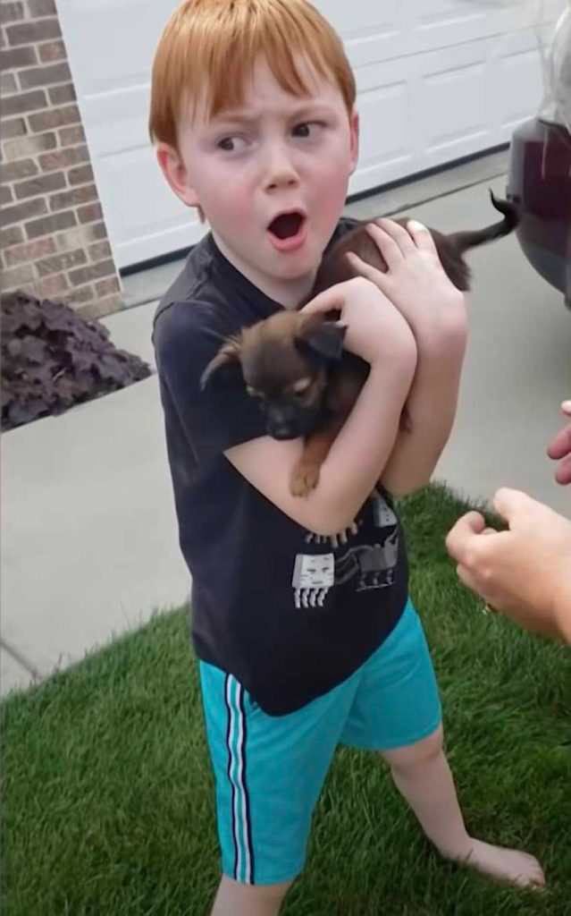 Un garçon qui a économisé pendant un an pour avoir un chiot a fondu en larmes après que sa famille lui a fait la surprise d'un chiot.