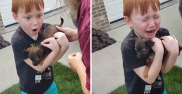 Un garçon qui a économisé pendant un an pour avoir un chiot a fondu en larmes après que sa famille lui a fait la surprise d'un chiot.