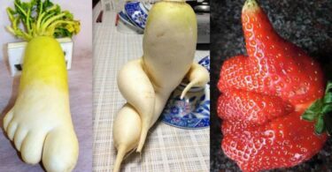 Ces 8 fruits et légumes vous donneront plus de plaisir que vous ne pouvez l'imaginer
