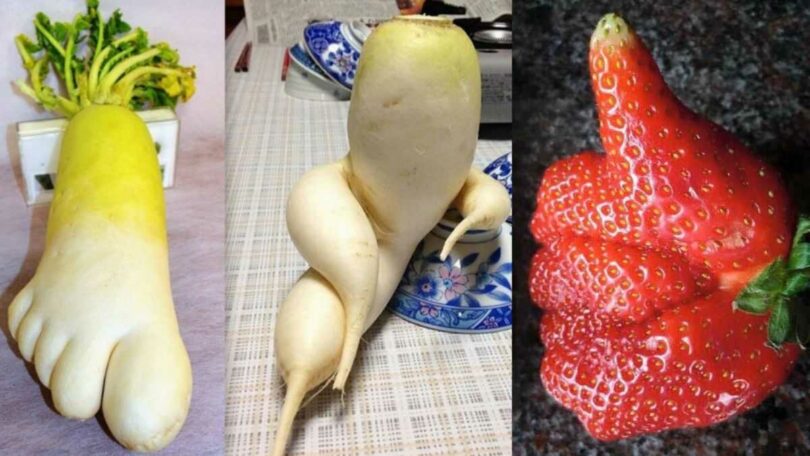 Ces 8 fruits et légumes vous donneront plus de plaisir que vous ne pouvez l'imaginer